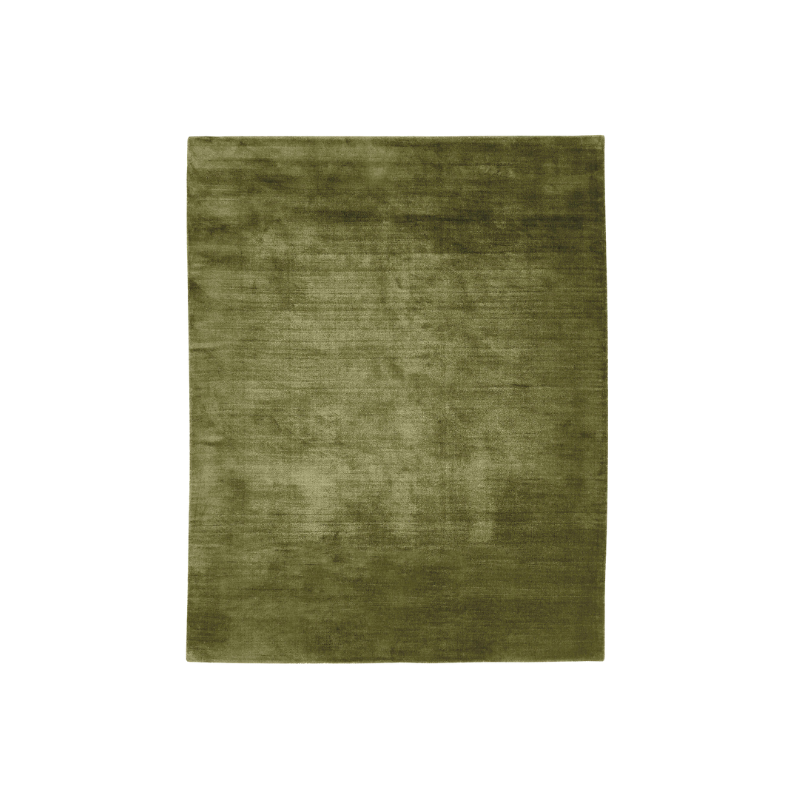 this is an image of a rug