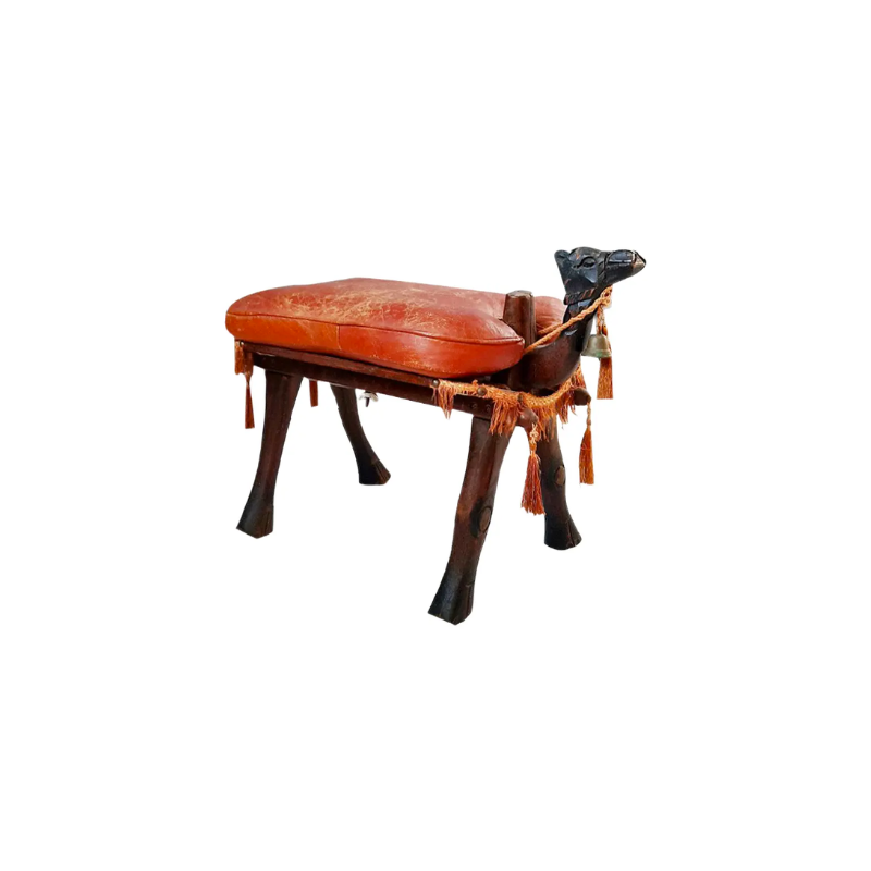 this is an image of a camel stool