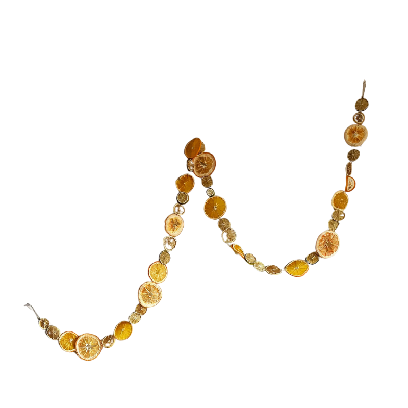 this is an image of orange garland