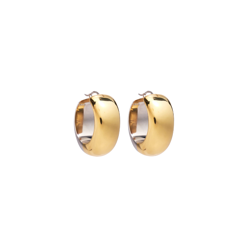 this is an image of earrings